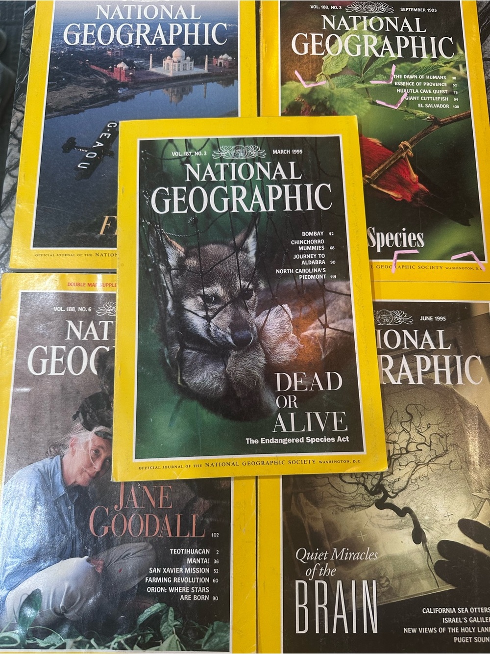 Vintage National Geographic 1995 - set of 5 issue and Hawaii Insert